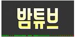밤튜브