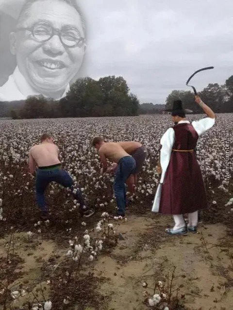17542917993466.jpg