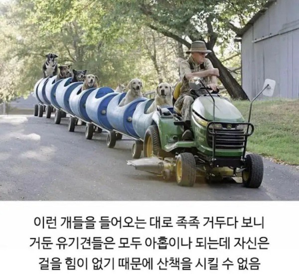 17552298923921.jpg