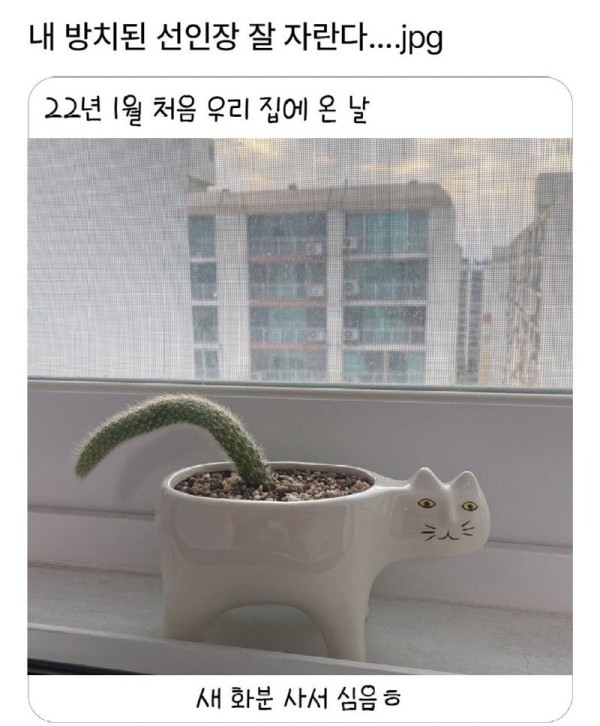 17552304820762.jpg