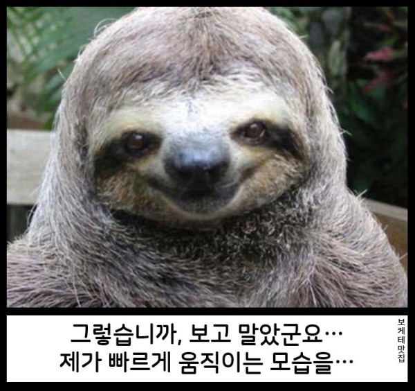 17552314141083.png