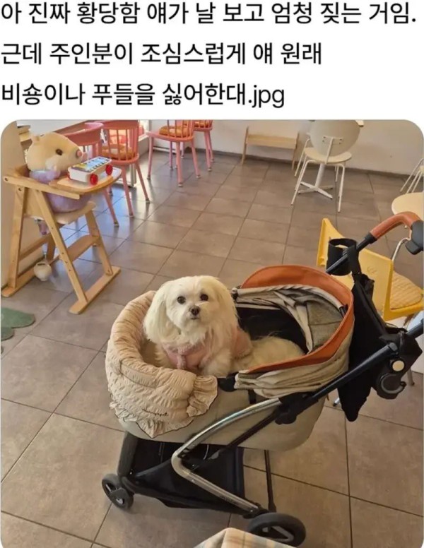 1755231568678.jpg