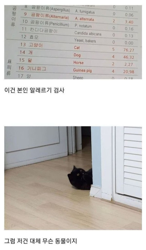 17552315916916.png