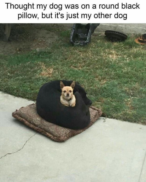 17552319171598.jpg
