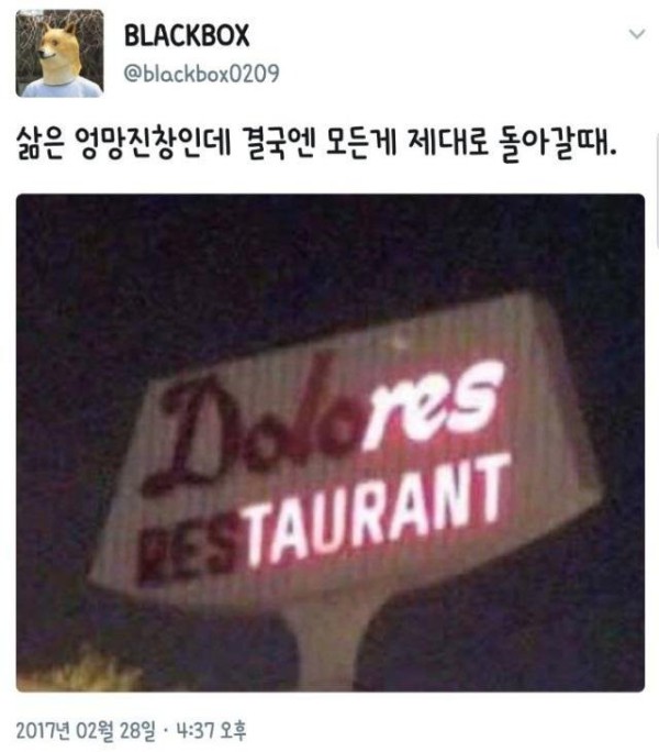 17552319954656.jpg