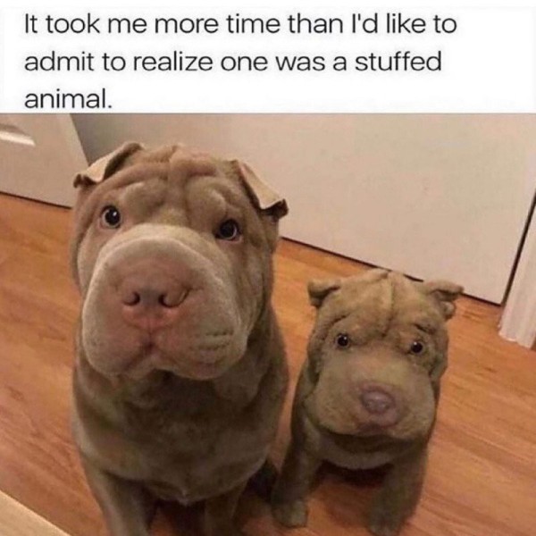 1755232018037.jpg