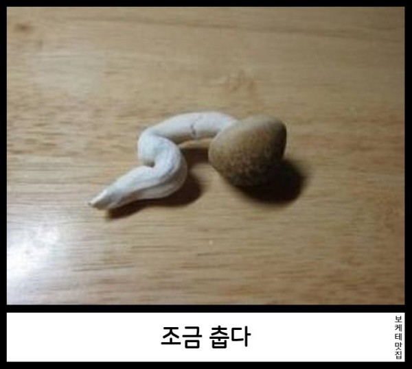 17552334185982.png