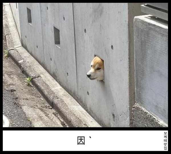 1755233419382.png