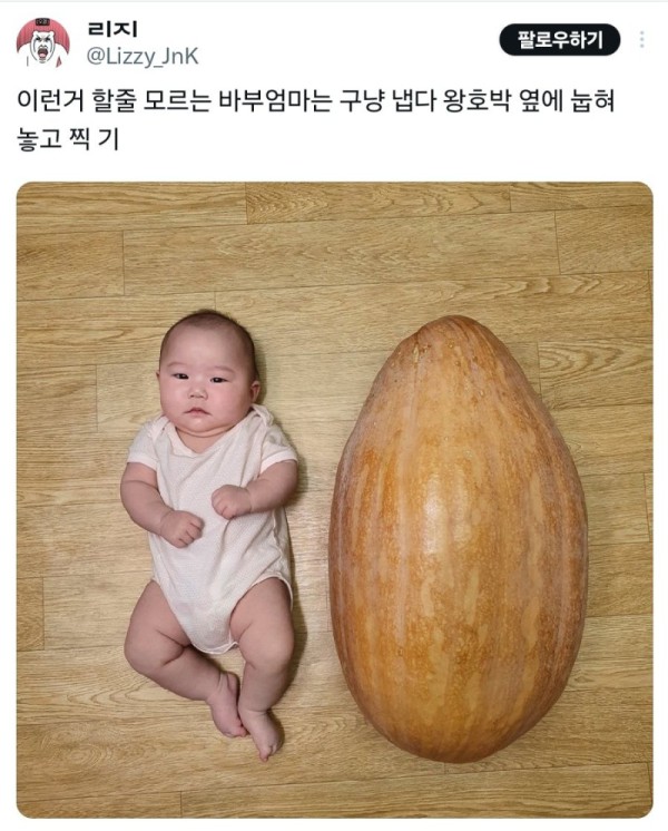 17552334325046.jpg