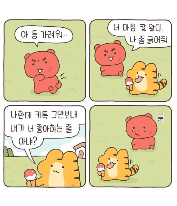 17564314662298.jpg