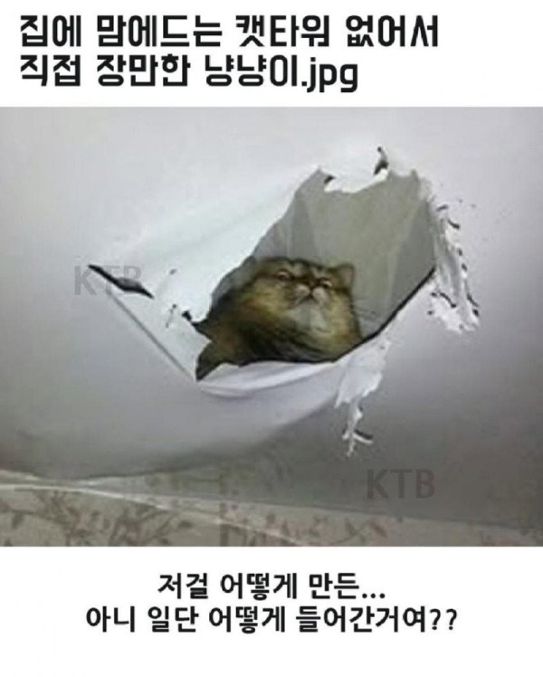 17564316834952.jpg