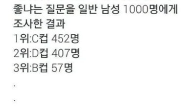 여친 가슴크기 설문조사