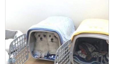 일부러 두개씩 사줬는데