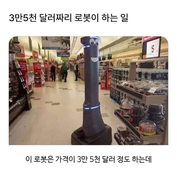 17564335596426.jpg