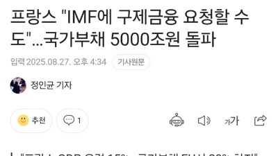 프랑스, IMF 구제 요청 가능성