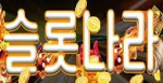 슬롯나라