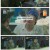 두유노집밥.E04.250730.1080p-F1RST