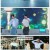 특집 쇼! 음악중심 인 재팬 2부.250801.1080p-F1RST