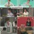 전지적 참견 시점.E358.250802.1080p.H264-F1RST