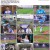 불꽃야구.E15.1080p.WEB-DL.AVC1